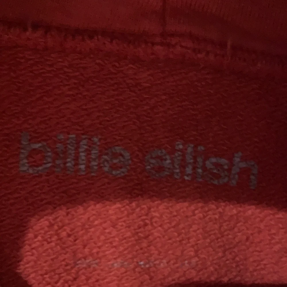 Billie Eilish Orange Graphic Hoodie Sweater - Preloved